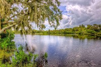 Manatee River-
Parrish, FL