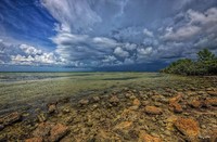 Port Manatee Storm-
Tampa Bay