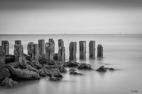 Gulf Sentinels-
Longboat Key, FL