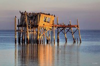 Honeymoon Suite-
Cedar Key, FL