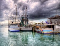 Southern Belles,-
Cortez, FL