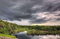 Rive Isle Squall-
Parrish, FL