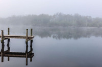 Misty Manatee Morn-
Parrish, FL