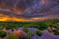 Rive Isle Sunset-
Parrish, FL