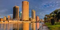 Tampa Skyline