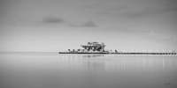 St Petersburg Pier
St Petersburg, FL