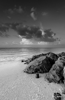 Anna Maria Rocks Tall-
Anna Maria Island, FL