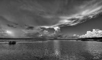 Myakka River State Park-
Sarasota County, FL