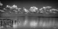 Low Tide-
Cedar Key, FL