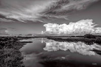 Myakka River-
Sarasota County, FL