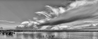 Clayton's Backyard-
Manatee River
Ellenton, FL