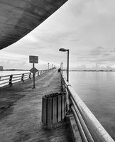 No Vehicles Allowed-
Ringling Bridge, Sarasota, FL