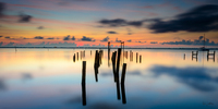 Venus Over Pilings
Melbourne, FL